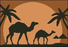 Camels, Pyrimids and Palms