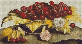 Cherries and Carnations