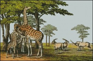 Giraffe and Gemsbok