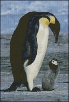 Penguin and Chick
