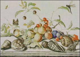 Shells, Fruit and Insects