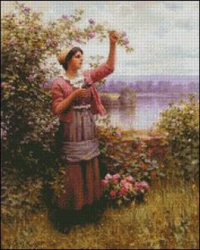 Gathering Roses - Click Image to Close